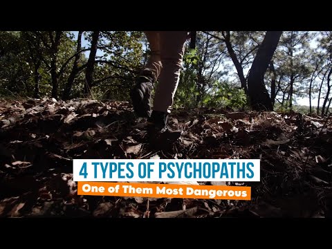 4 Types of Psychopaths (The Happiness Blog)