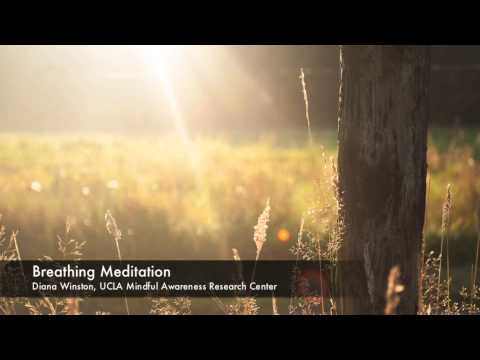 Breathing Meditation | UCLA Mindful Awareness Research Center