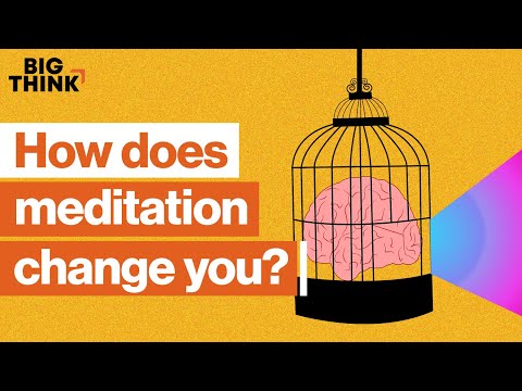 How meditation can change your life and mind | Sam Harris, Jon Kabat-Zinn &amp; more | Big Think