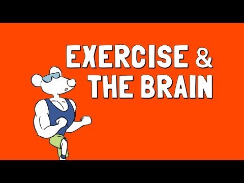 Exercise and the Brain