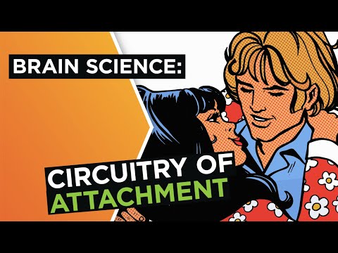 Brain in love: The science of attachment in relationships | Helen Fisher | Big Think