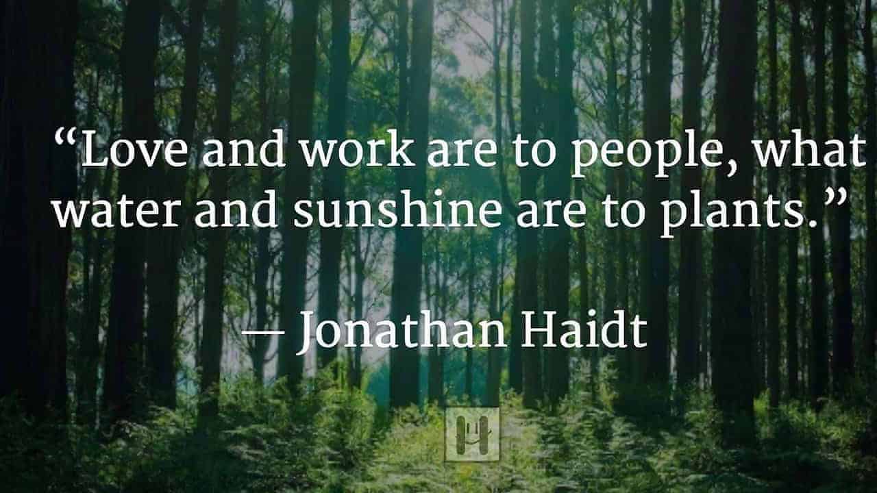 Jonathan Haidt happiness quote