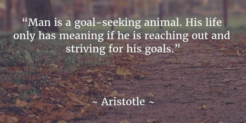 Goal quote Aristotle