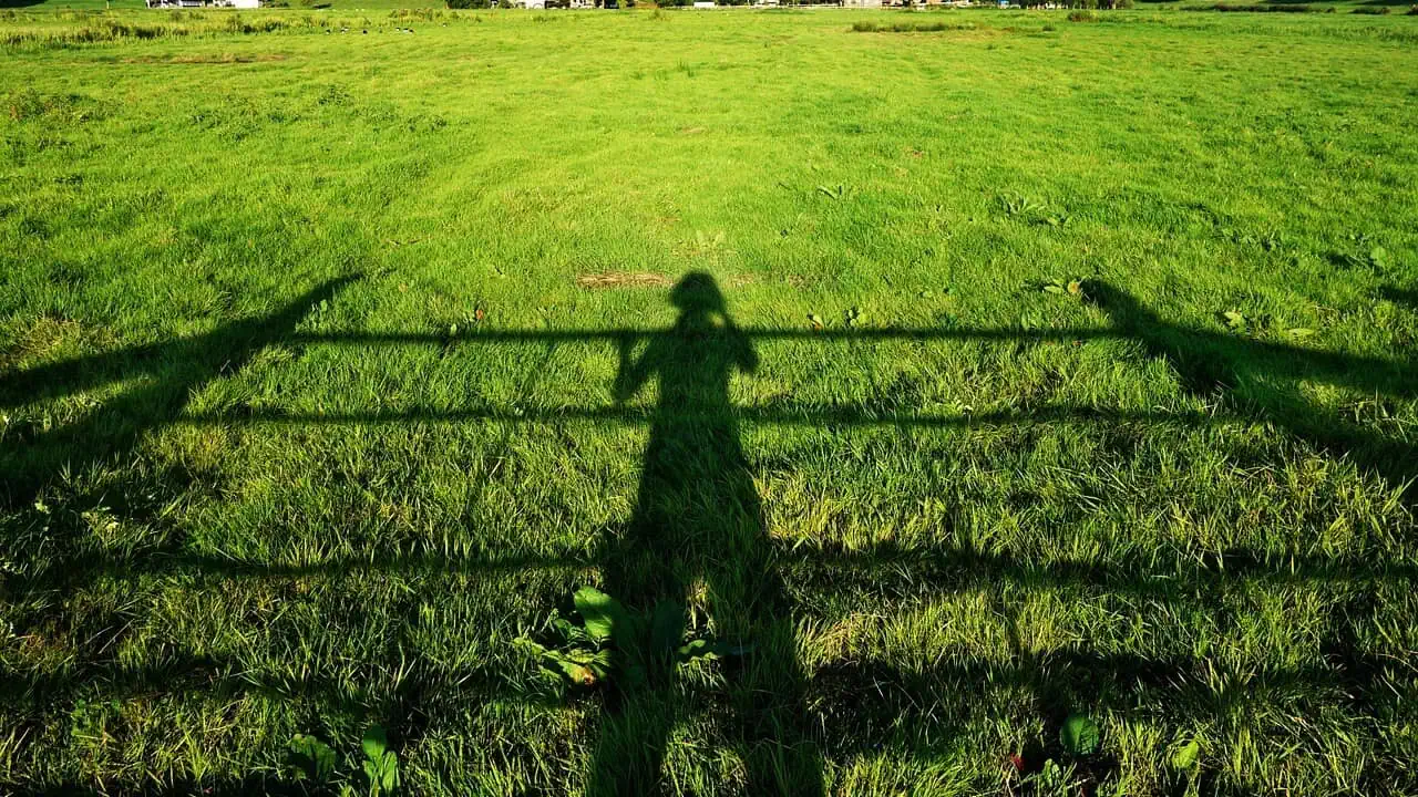 envy-grass-greener-other-side