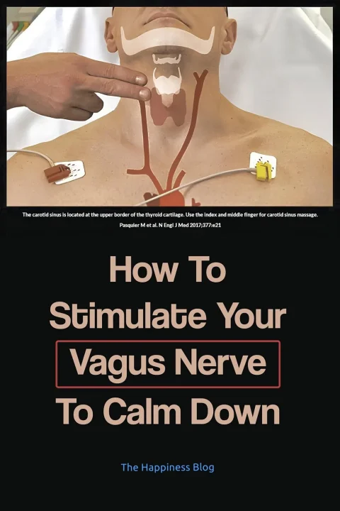 How To Stimulate Your Vagus To Lift Your Mood (From Science) 2 How To Stimulate Your Vagus To Calm Down-Pin