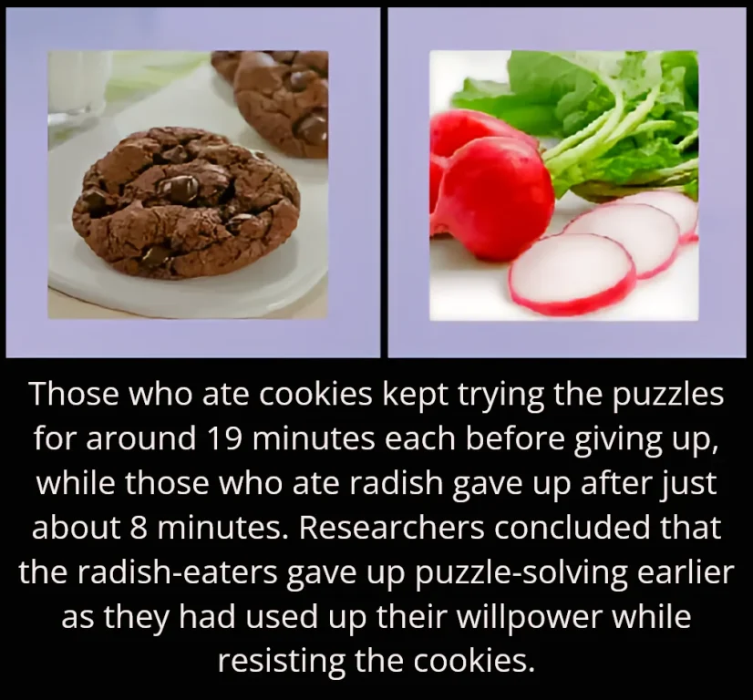 willpower limited cookies radish