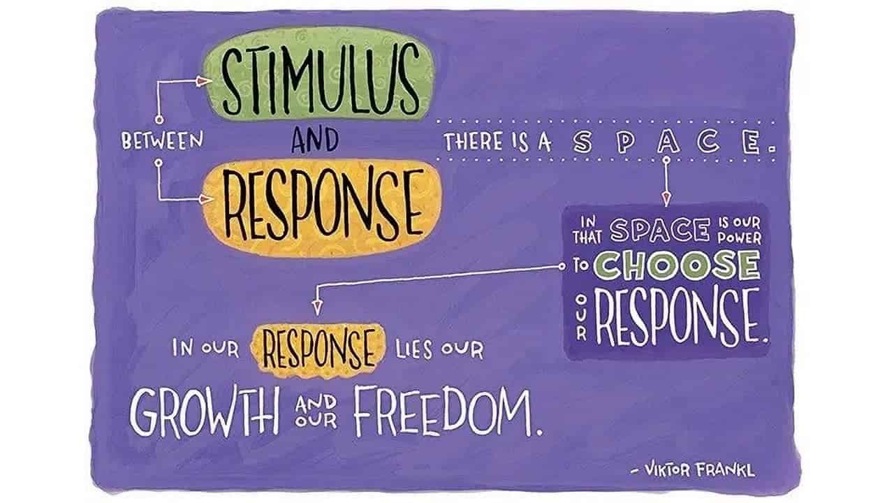 Stimulus_response_frankl