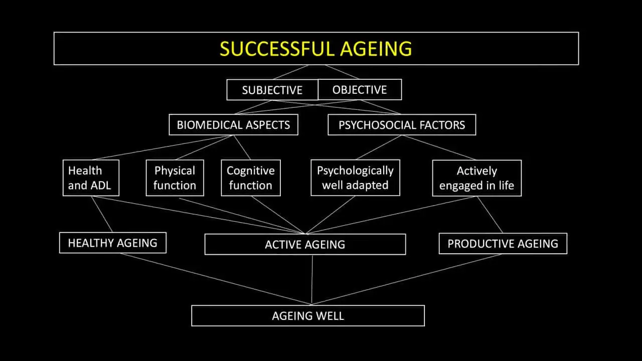 Successful-Aging-ACTA-90-359