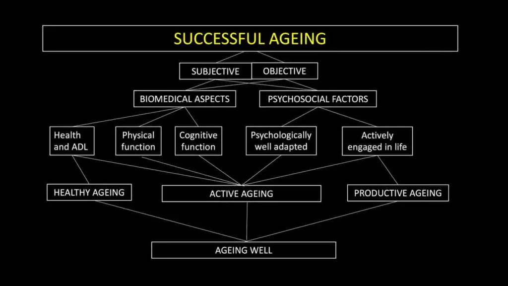 Successful-Aging-ACTA-90-359