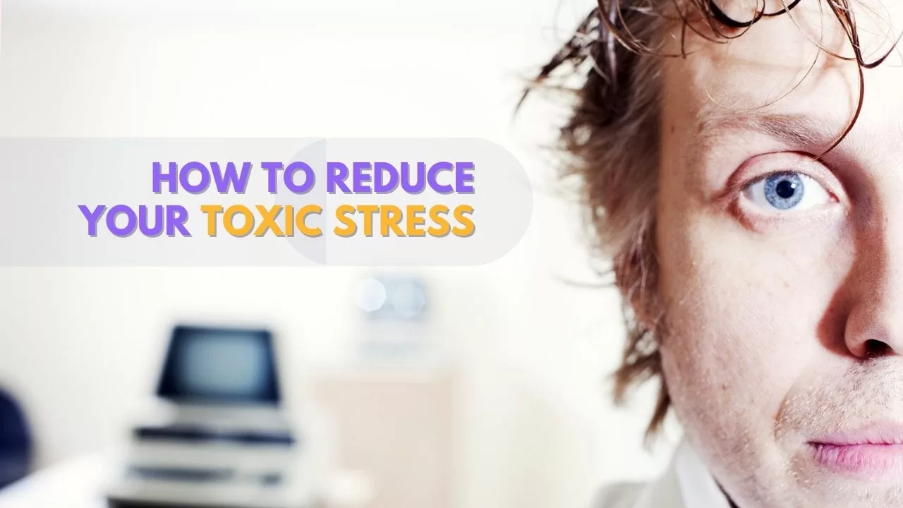 top 10 ways to reduce toxic tress
