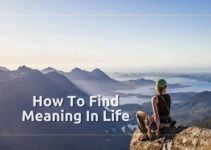 How To Find The Meaning of Your Life? And Why You Must?