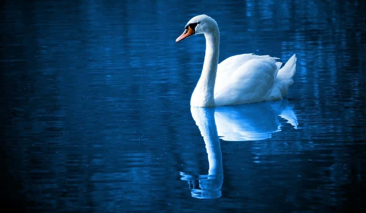 Raisin Exercise & Body Scan: 2 Simple Mindfulness Practices