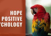 What Is Hope? Why It’s Important To Hope? [Psychology]