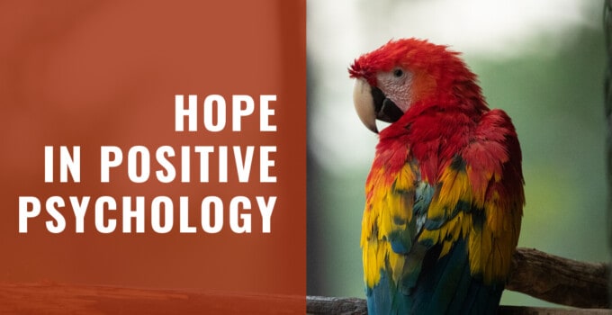 What Is Hope & Why Is It Important In Positive Psychology?
