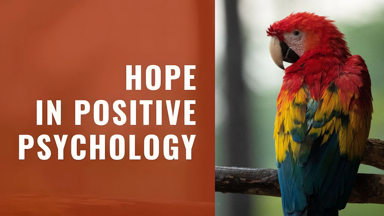 What Is Hope & Why Is It Important In Positive Psychology?