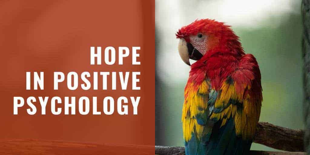 What Is Hope & Why Is It Important In Positive Psychology?