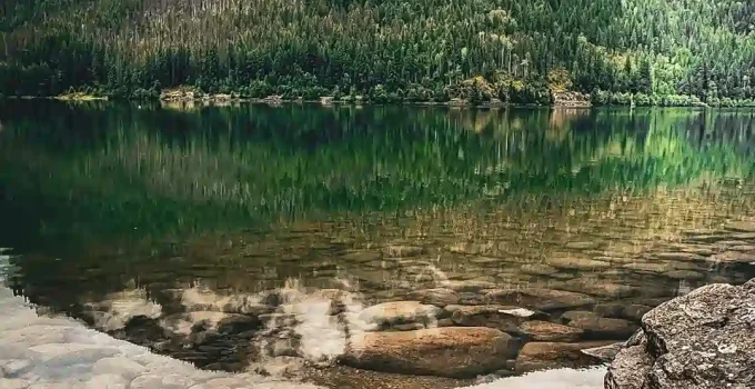 How To Broaden And Build Positive Emotions To De-Stress