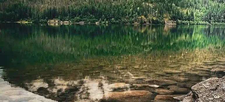 how to cope the stress of lockdown