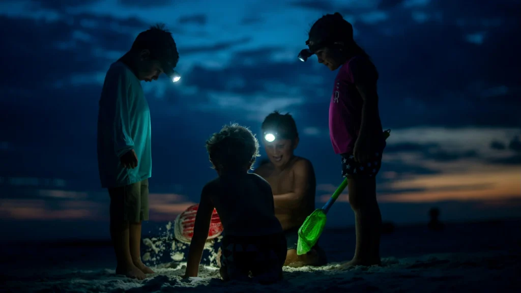 Piaget's 4 Stages of Cognitive Development