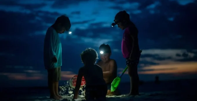 4 Stages of Cognitive Development by Piaget: In Short