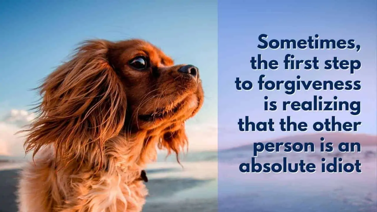 forgiveness is realizing other person is an idiot