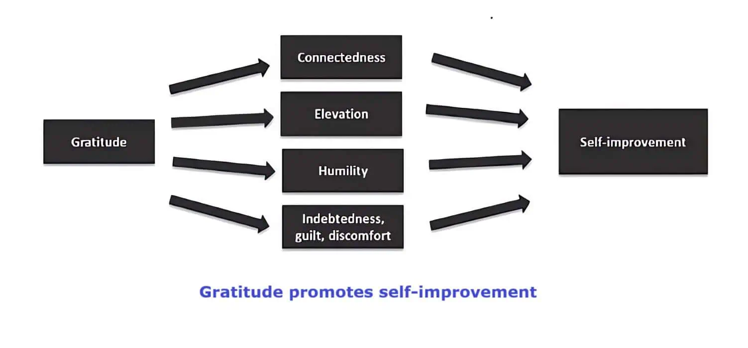 Gratitude Benefits