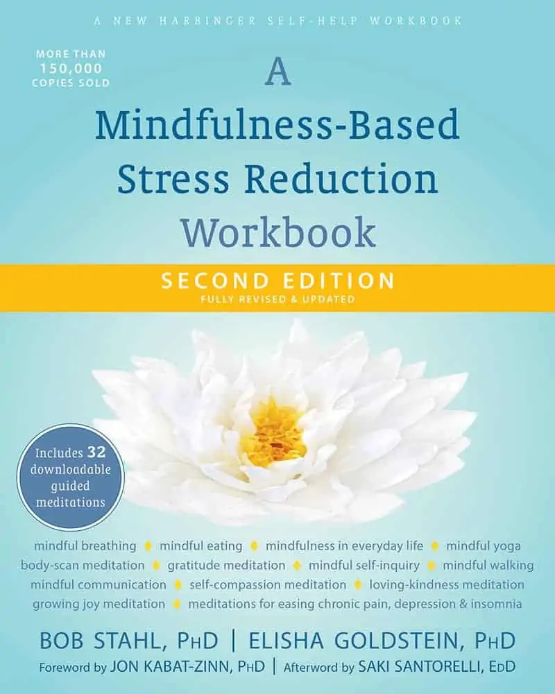 Best Mindfulness Book Goldstein