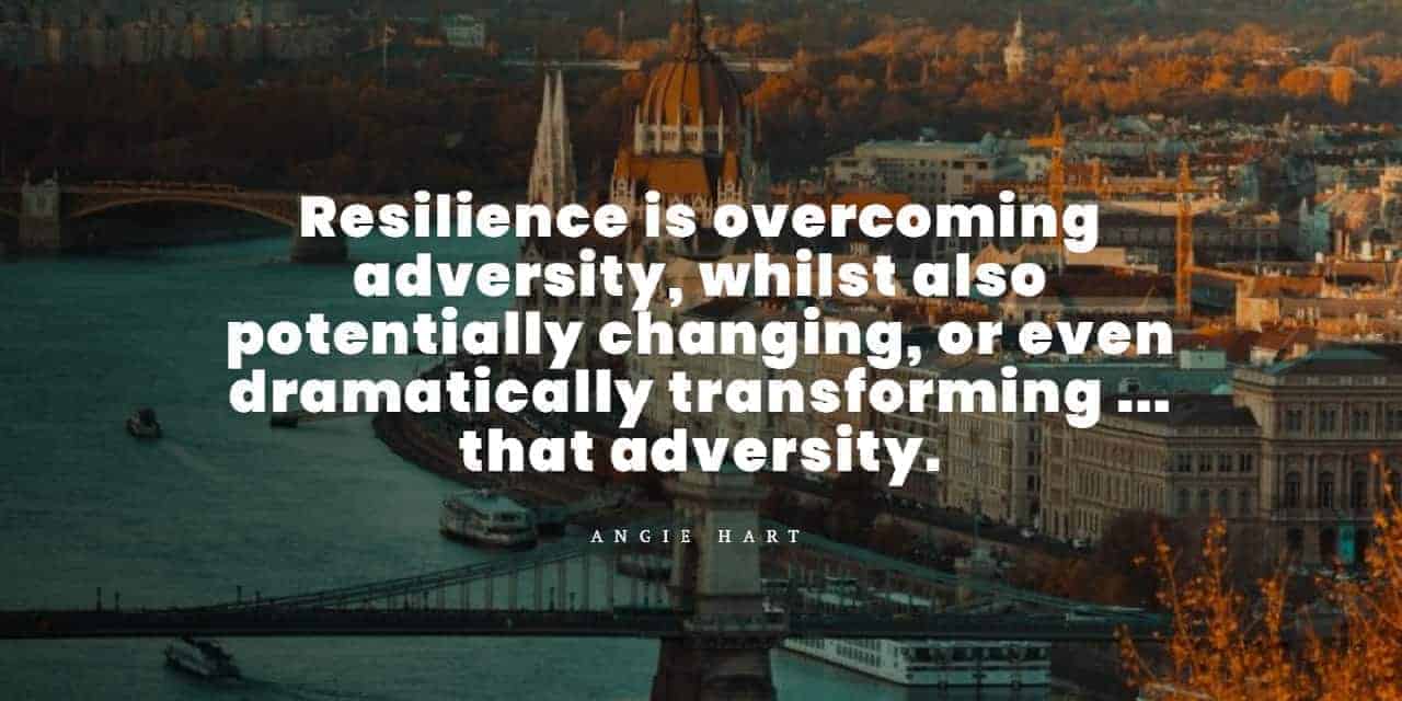 23 Rare Resilience Quotes For The Best Business Leaders 4 The Happiness Blog resilience is overcoming adversity