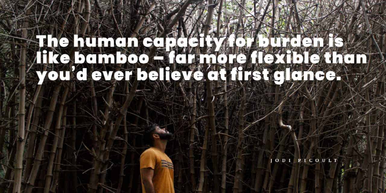 human capacity for burden is like bamboo