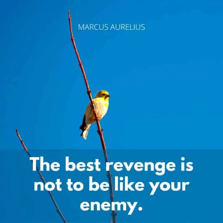 100 Marcus Aurelius Quotes On Life (Wisdom That's Timeless) 6 marcus-aurelius-quote-on-revenge
