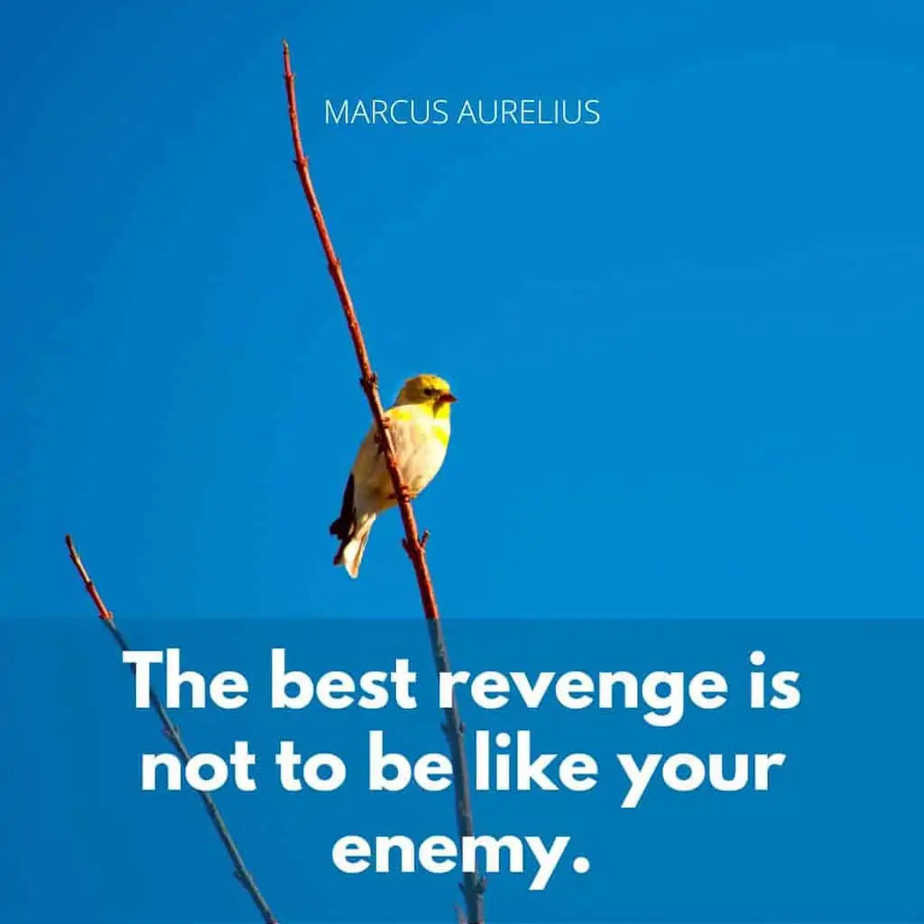 marcus-aurelius-quote-on-revenge