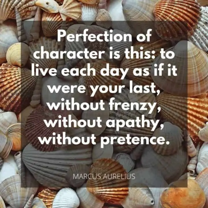 100 Marcus Aurelius Quotes On Life (Wisdom That's Timeless) 8 marcus-aurelius-quote-on-perfection
