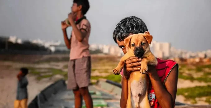 Positive Empathy: A New Concept From Positive Psychology