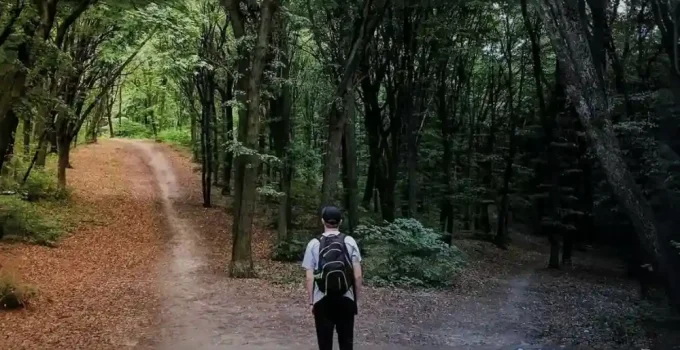 The Stoic Way To Make Decisions: Think Clear, Decide Fast