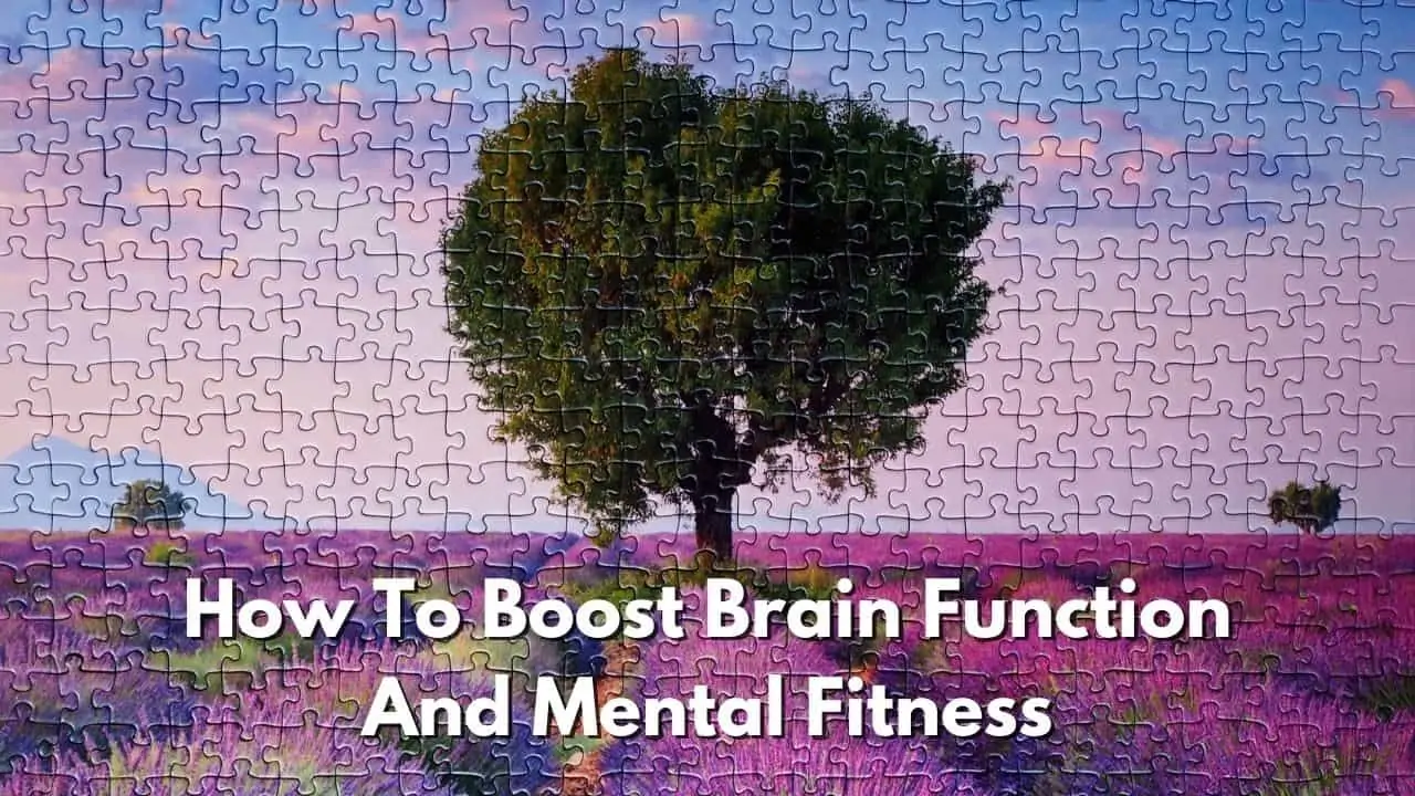 How To Improve Brain Function And Mental Fitness