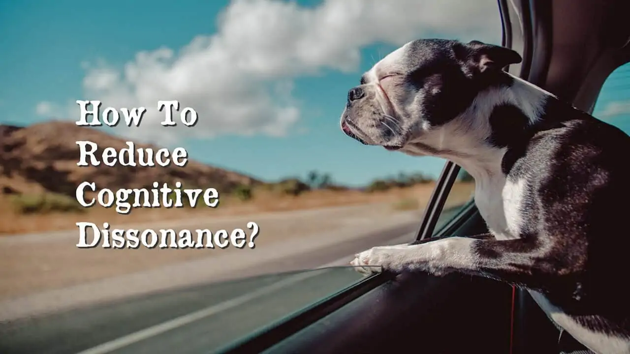 How To Reduce Your Cognitive Dissonance? 1 how to reduce cognitive dissonance
