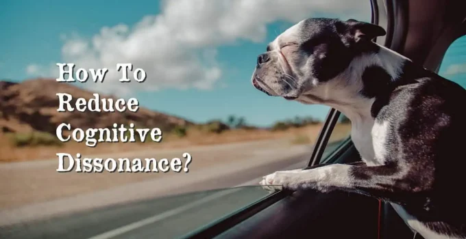 How To Reduce Your Cognitive Dissonance?