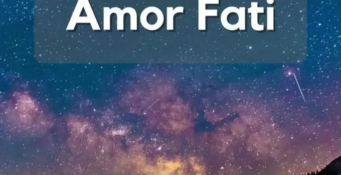Amor Fati: Stoic Practice To Soar Above The Volatile Times