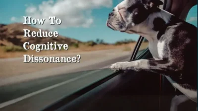 6 Ways to Reduce Cognitive Dissonance (Which Ones Actually Work)
