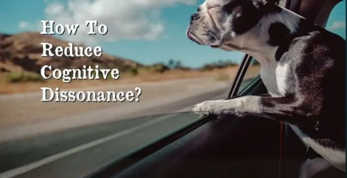 6 Ways to Reduce Cognitive Dissonance (Which Ones Actually Work)
