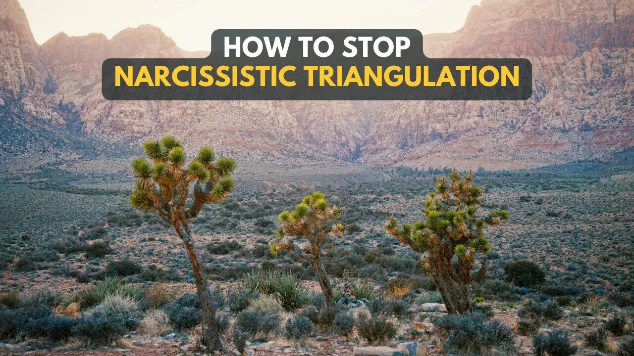 How To Stop Narcissistic Triangulation