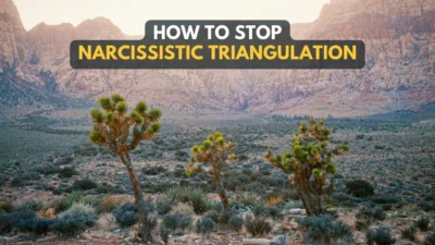 How To Stop Narcissistic Triangulation (And Why You Must)