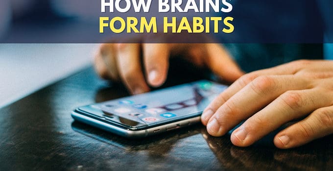 How Are Habits Formed In The Brain (3 R’s of Habit Formation)