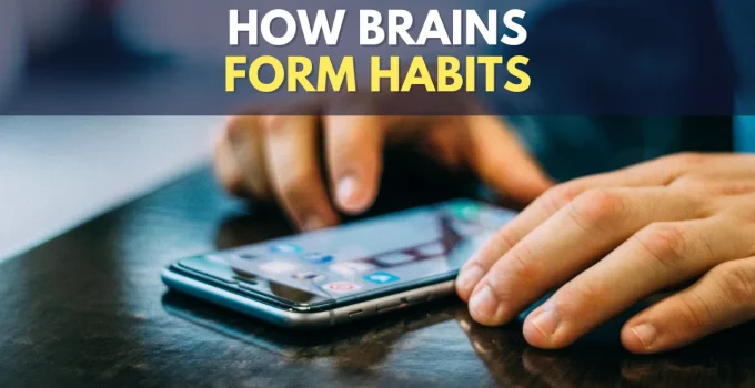3 R’s of Habit Building: Rewire Your Brain To Form New Habits