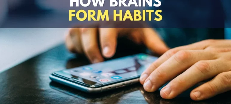 How Are Habits Formed In Brain