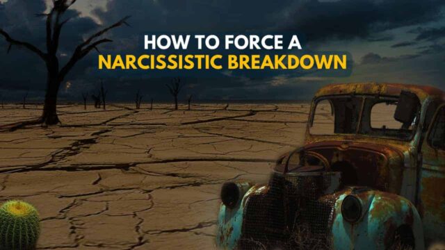 How To Force A Narcissistic Breakdown