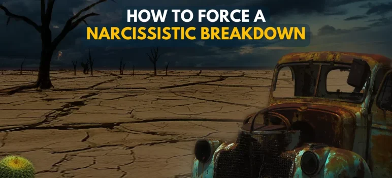 How To Force A Narcissistic Breakdown