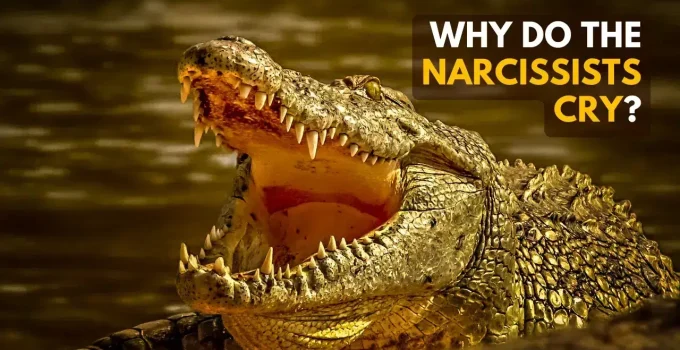 Why Do Narcissists Cry? The Answer May Surprise You