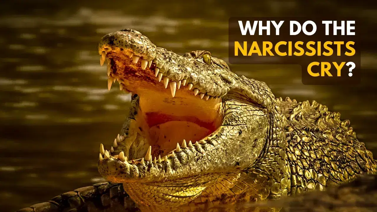 do narcissists cry, and why