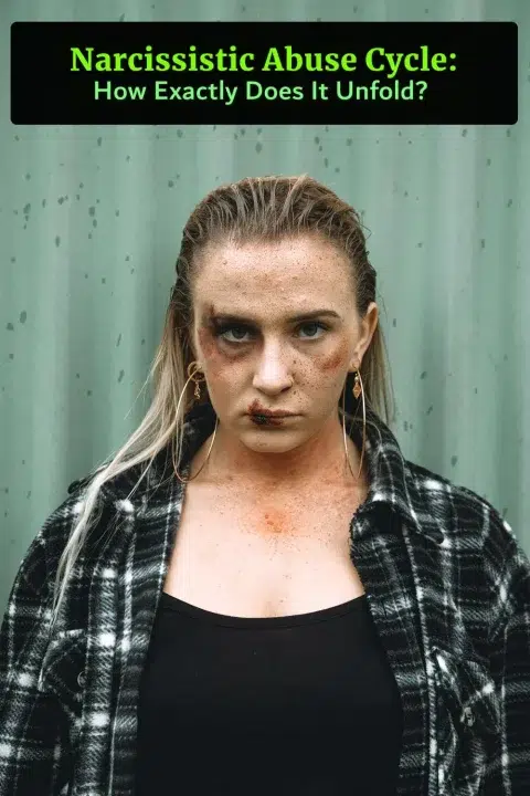 Narcissistc Abuse Cycle - how it unfolds